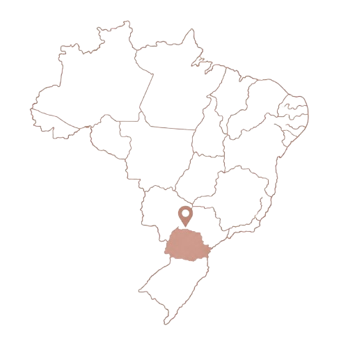 Mapa do Brasil - Destaque Paraná